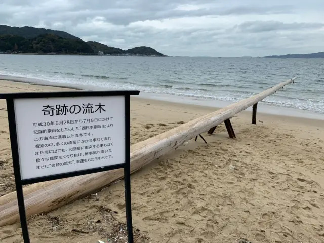 糸島の海岸に佇む「奇跡の流木」と案内看板