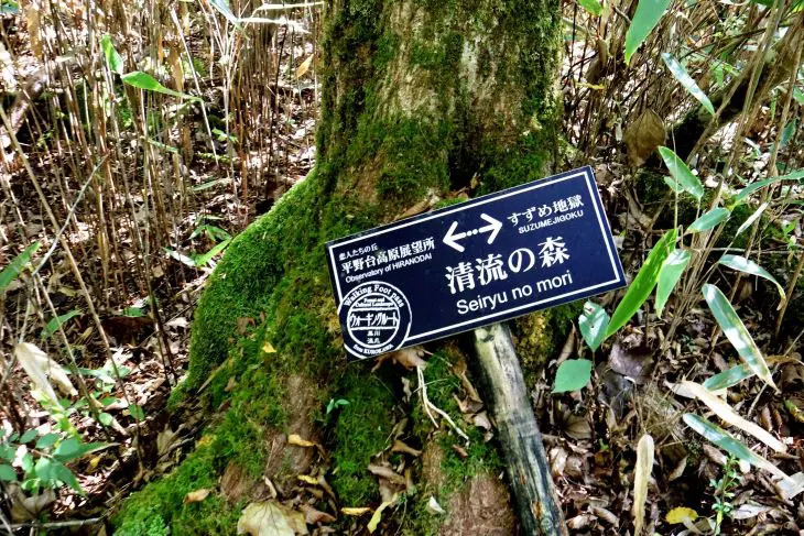 清流の森や平野台高原展望所へ導く木立の中の案内看板