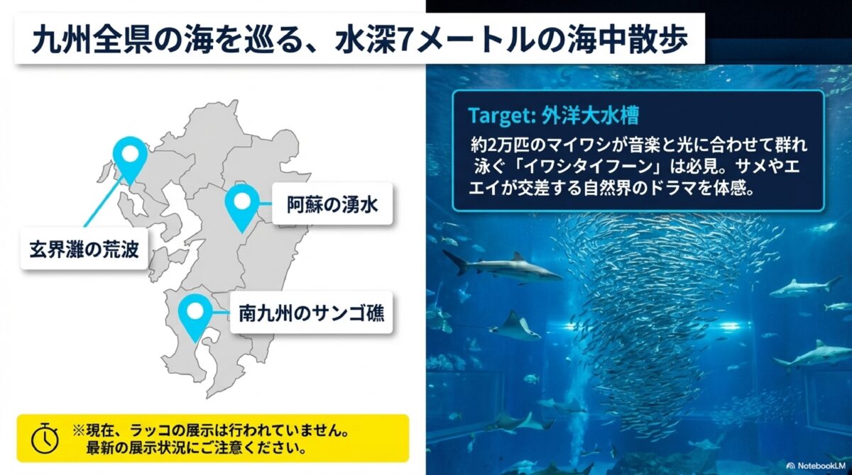 九州全県の海を巡る、水深7メートルの海中散歩