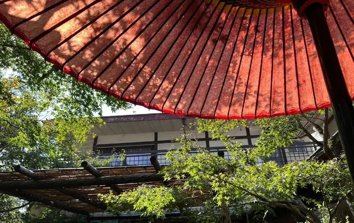太宰府天満宮近くの梅が枝餅店にある和傘と庭園の景色。落ち着いた和の空間で休憩できる。