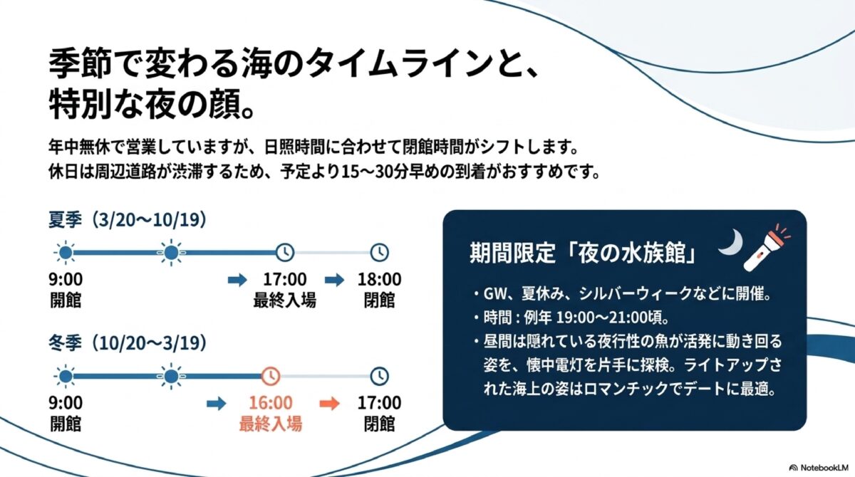 季節で変わる海のタイムラインと、特別な夜の顔