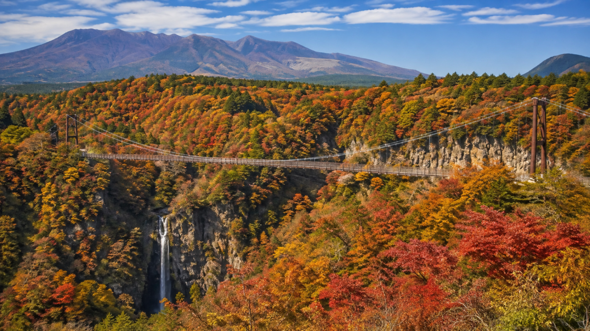 紅葉に包まれた渓谷を渡る大きな吊り橋と山並み