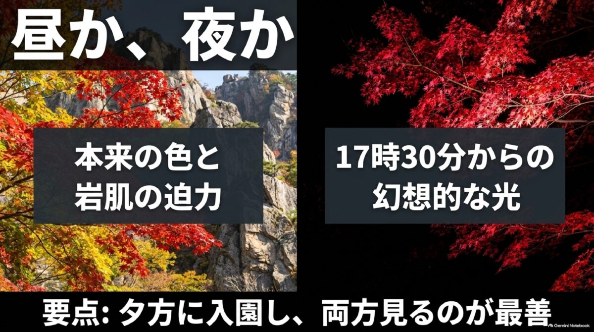 御船山楽園の昼の紅葉と夜のライトアップ比較