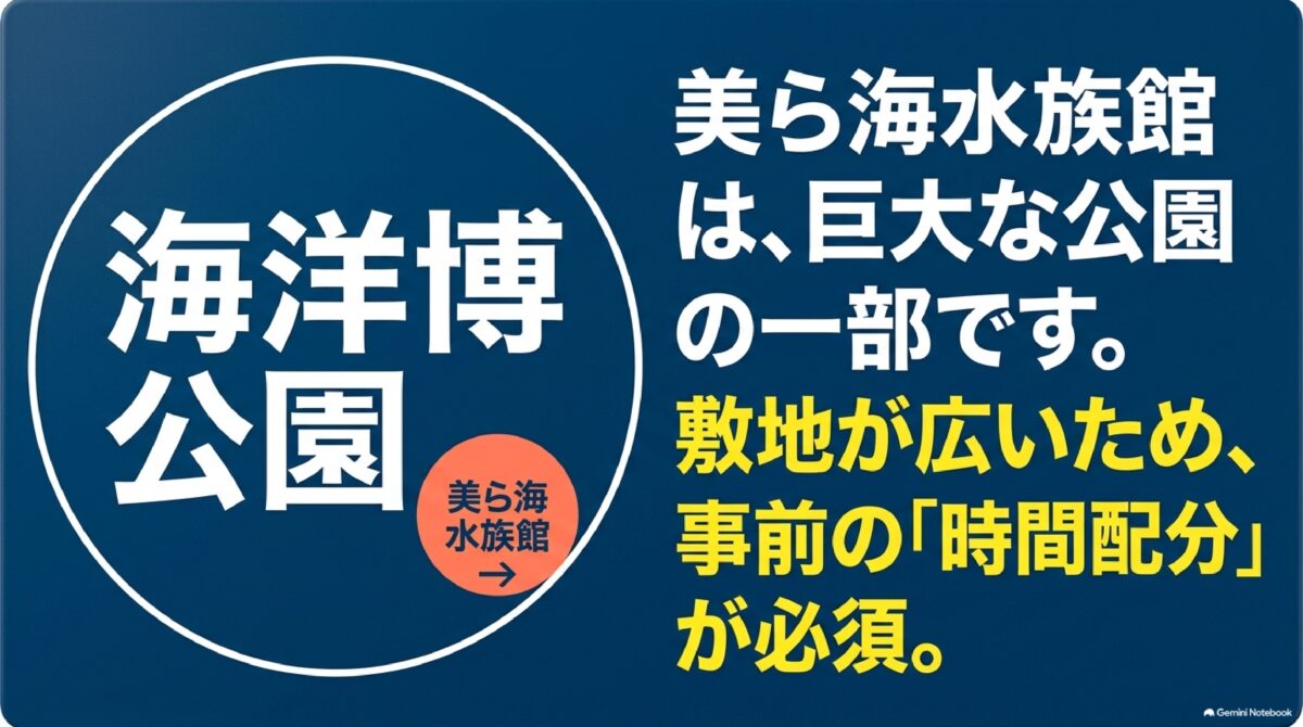 海洋博公園と美ら海水族館の位置関係を示す図