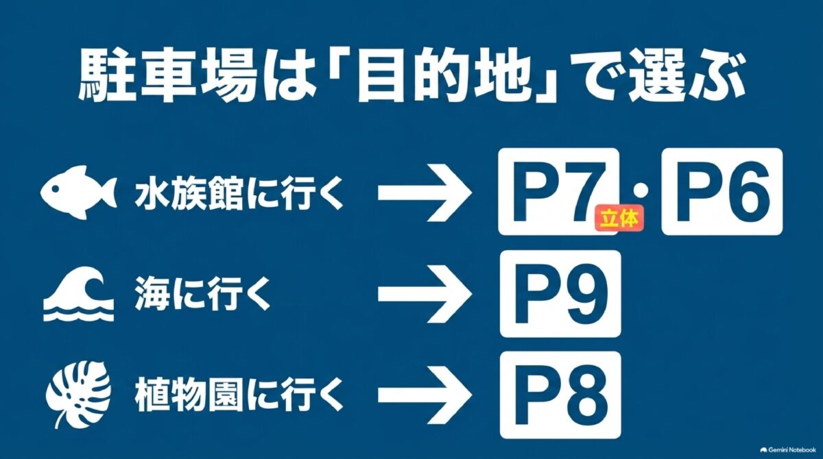 海洋博公園の目的地別おすすめ駐車場P6・P7・P8・P9