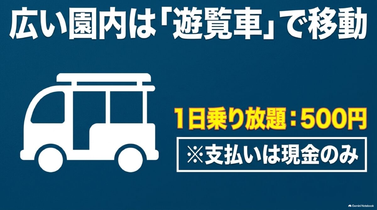 海洋博公園の園内遊覧車と1日乗り放題料金の案内