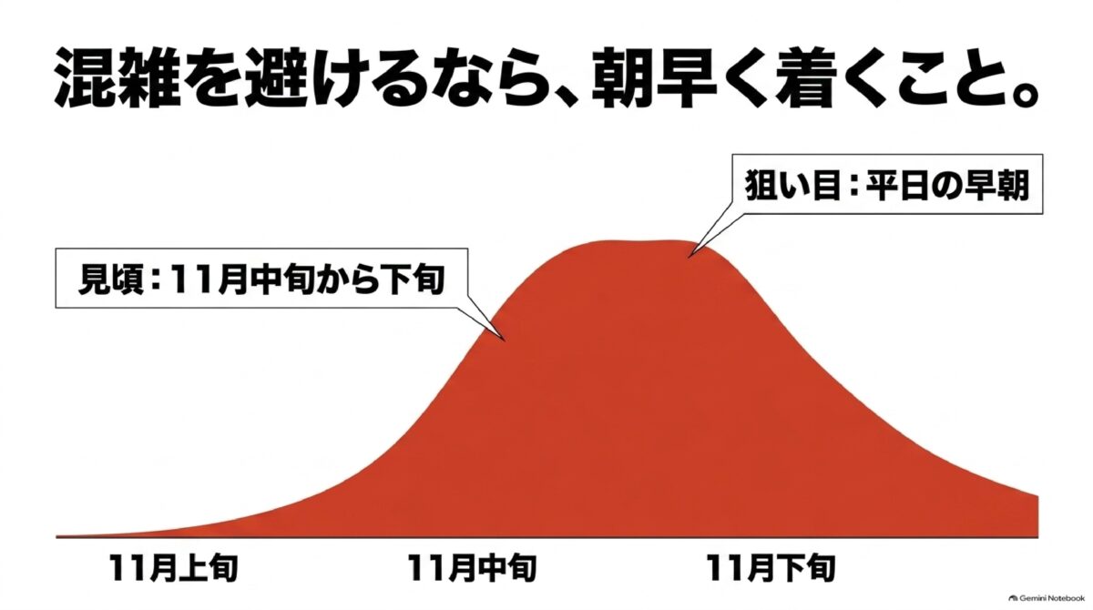 高千穂峡の紅葉見頃と11月の色づき時期の目安