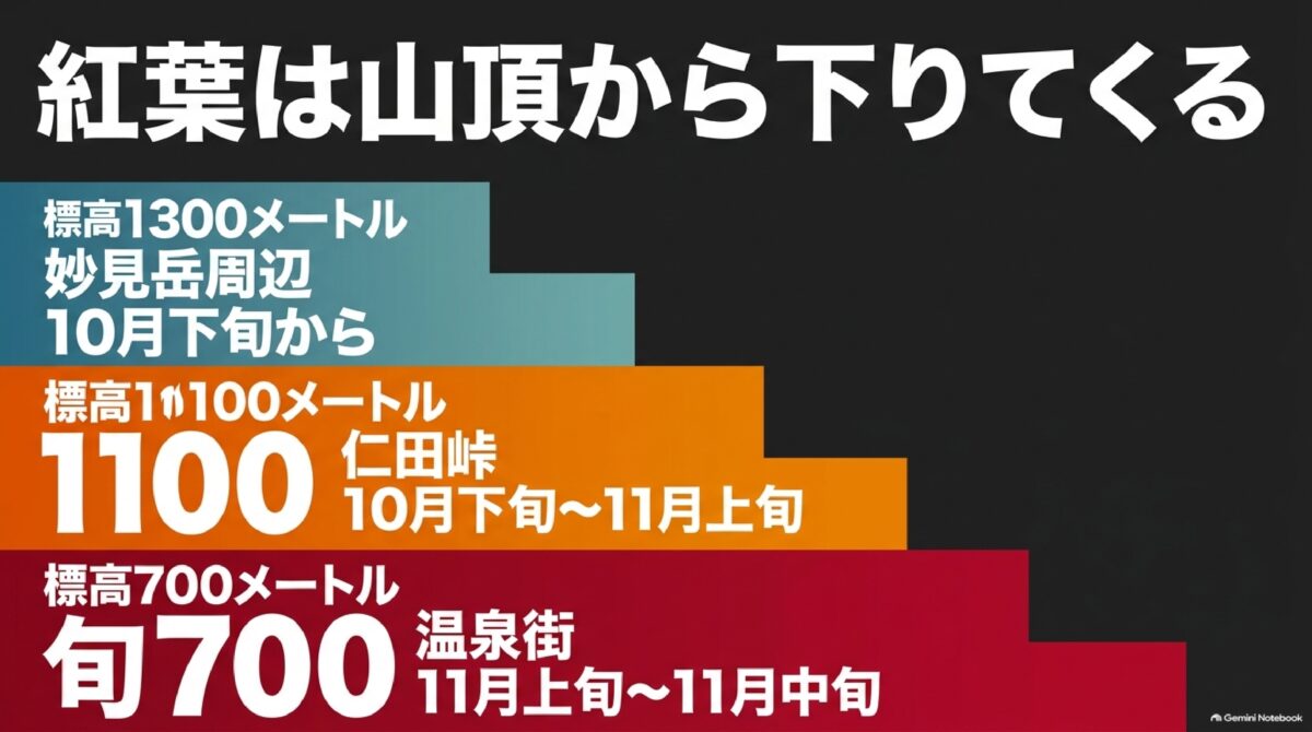 雲仙・仁田峠の標高別に紅葉の見頃時期を示す図