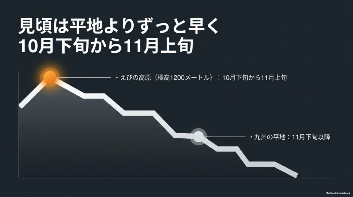 えびの高原の紅葉が10月下旬から11月上旬に見頃となる図解