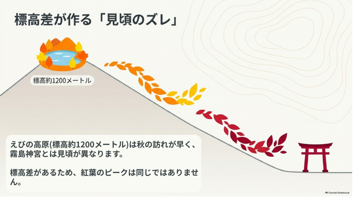 えびの高原と霧島神宮の標高差による紅葉時期の違い