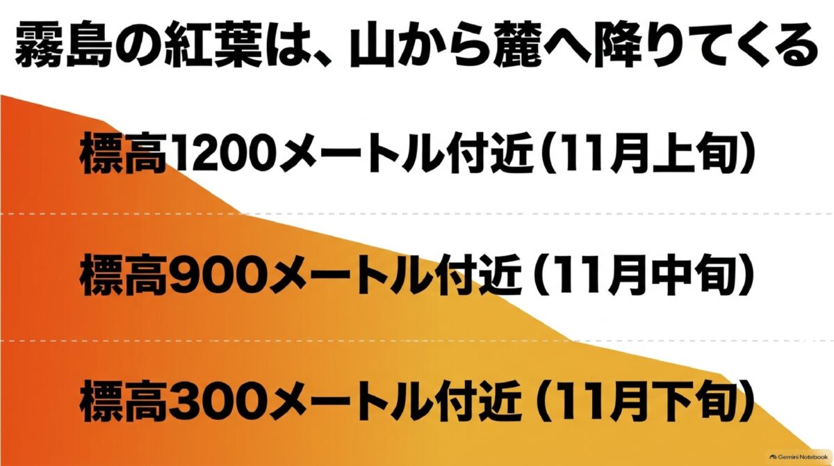霧島の紅葉が高地から麓へ移る見頃時期を示す図