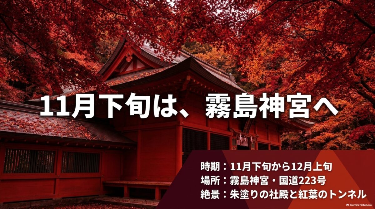 霧島神宮の朱塗り社殿と紅葉、見頃時期を示す解説画像