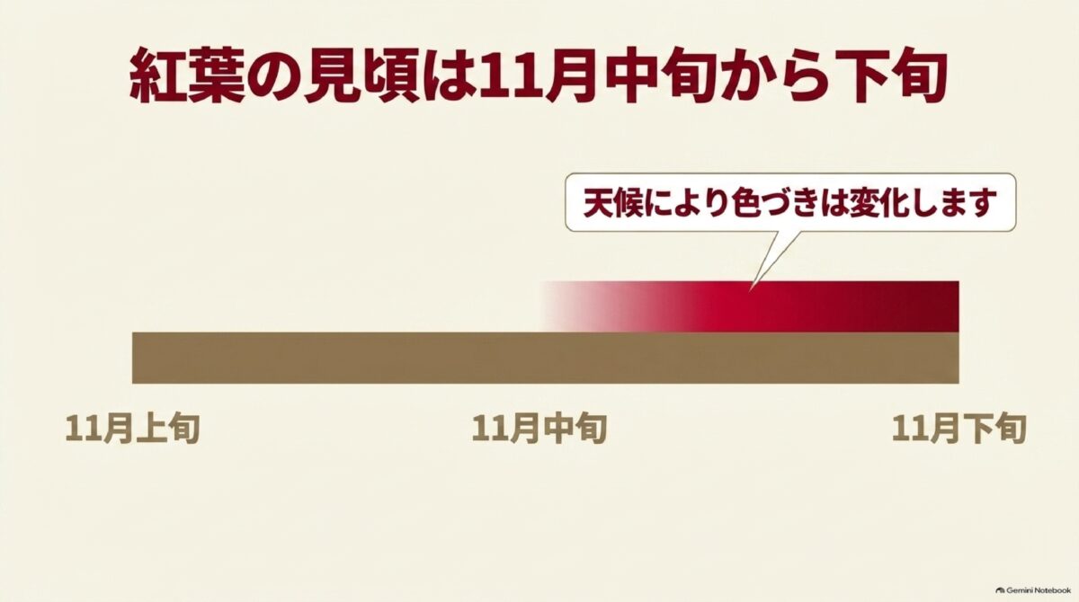 九年庵の紅葉が11月中旬から下旬に見頃を迎える目安図