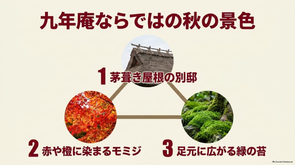 九年庵の茅葺き屋根・紅葉・苔庭の三つの見どころ
