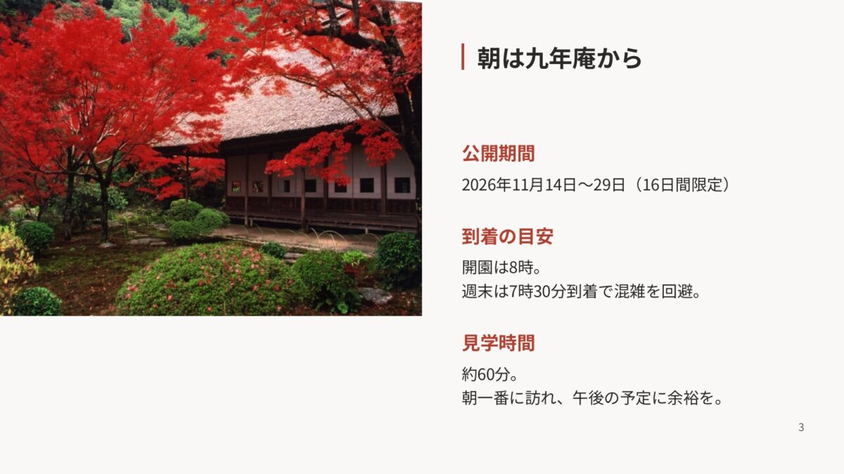 九年庵の紅葉と一般公開期間・朝の到着目安を示す図