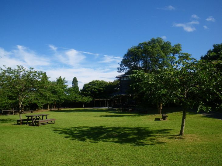 おしゃピクを楽しめる白野江植物公園|引用:北九州市立白野江植物公園