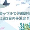 カップルで沖縄旅行！2泊3日の予算は？ジャングリアや美ら海水族館の費用も交え解説！