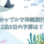カップルで沖縄旅行！2泊3日の予算は？ジャングリアや美ら海水族館の費用も交え解説！