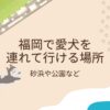 福岡で愛犬を連れて行ける場所（砂浜や公園など）20まとめ！