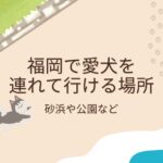 福岡で愛犬を連れて行ける場所（砂浜や公園など）20まとめ！