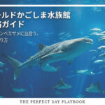 いおワールドかごしま水族館｜完全攻略ガイド