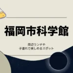 福岡市科学館周辺のランチ！子連れで楽しめるお店やスポットもピックアップ！