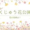 くじゅう花公園の入園料は？花の見頃やランチ人気メニューも交え九州在住ライターが解説！