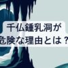 千仏鍾乳洞が危険な理由3つ！アクセスやチケットに所要時間と心得も解説！