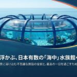 天草の海に浮かぶ、日本有数の「海中」水族館へようこそ