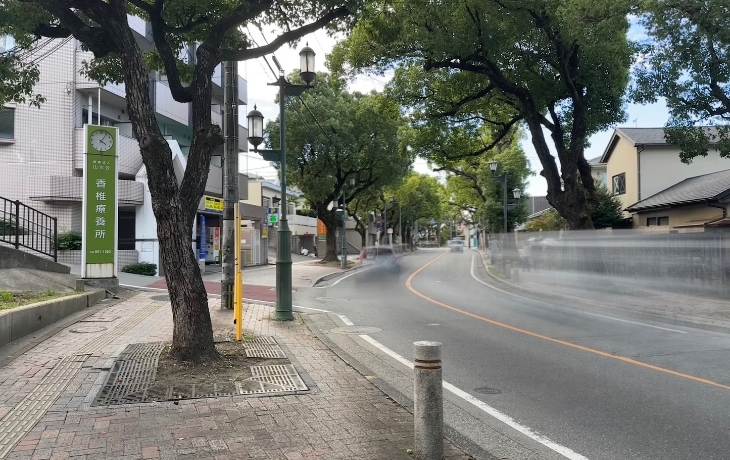 楠などの木々が生い茂る香椎参道のカーブ