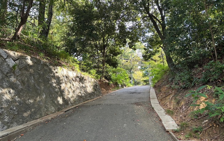 香椎宮頓宮へ向かう坂道と奥に見える鳥居